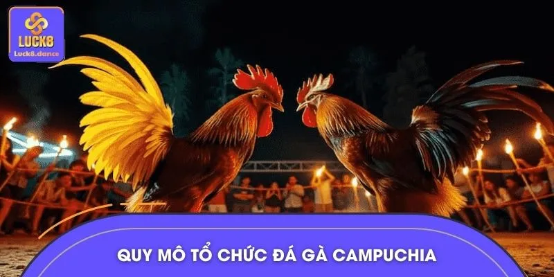 Đá gà Campuchia cực máu lửa