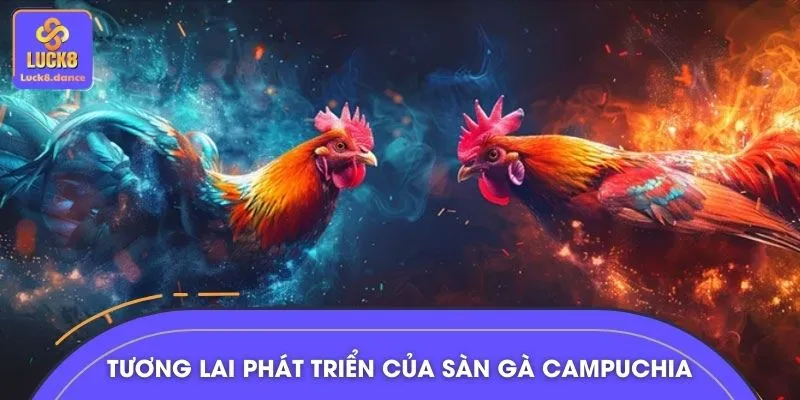 Cập nhật xu hướng phát triển của sàn đấu gà Campuchia