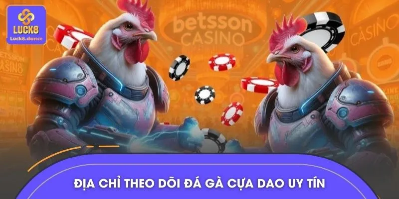 Chọn đúng nền tảng theo dõi đá gà cựa dao